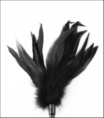 Bic i golicaljka crop and feather tickler